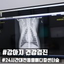 24시간대전동물메디컬센터숲