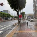 생갈비전문점 설화 앞 이미지