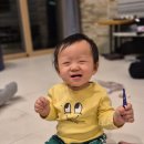 소노펠리체 비발디파크 이미지