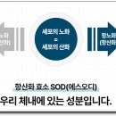 반석에스오디한의원 네이버블로그