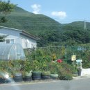 두동농장 이미지