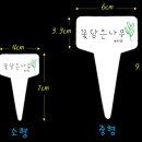 꽃담은나무 네이버블로그