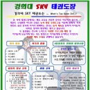 경희대 다산 태권도 이미지