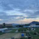 퀸스테이 이미지