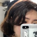 헬로봄 이미지