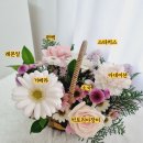 플로랄데이즈 이미지