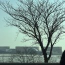 시장교2 이미지