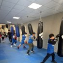 밴텀복싱 이미지