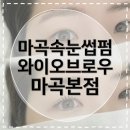 [마곡나루속눈썹펌] 와이오브로우 마곡본점, 상담부터 결과까지 대만족 후기