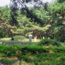 하지백 | 단계 하위지 선생(丹溪 河緯地 先生) 묘소(墓所) 및 유허비(遺墟碑)
