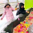간전-4 | 봄여행 광주근교 아이랑 함께 전남 구례 섬진강어류생태관 섬진강 수달생태공원 나들이