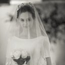 메종드로즈 이미지