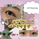 다밀리에뷰티 | 뷰티앤리 노원속눈썹펌 직모 속눈썹도 앞머리까지 바짝 올라간 후기