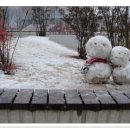 데굴데굴 이미지