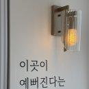 숲아이래쉬