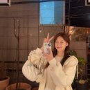 태오피셜