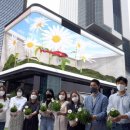 희망의 꽃 이미지