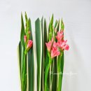 [3분기] 플로리스트 취미 이미지