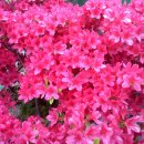 진식농장 이미지