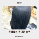 죽림초등학교 | 💇🏻‍♀️ 청주 죽림동 웰리박 미용실 톤다운 염색 후기 – 손상 없는 염색 체험기