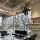 정자일로232번길 | [분당 미용실] 요미앤디 분당정자역점 인생 머리 찾고 온 솔직 후기