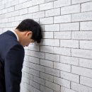 노아노마드
