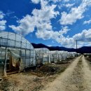 덕치리 마을회관 이미지