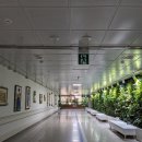 충북대학교병원 이미지