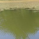 고현낚시터 이미지