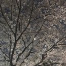 팔룡동500 | [내돈내먹] 창원 팔룡동 지코바 배달 솔직 후기.