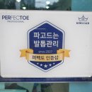 손톱꽃물들다