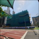 서이초교 사거리 횡단보도 이미지