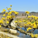 황룡강변 이미지