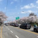 그늘막84 이미지