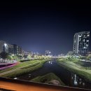 둘리인형뽑기방 이미지