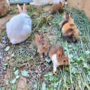 명주초등학교 이미지