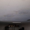 경기도 수원시 권선구 구운중로31번길 23 이미지