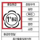 이마트 홈플러스 롯데마트 달걀 비교 검증 충격적인 1위 결과 공개/결국 밝혀진 1등급 계란 이미지