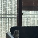 미유모먼트 이미지