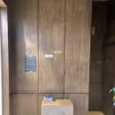 163 | 남양주 화도 카페 애견동반가능 테라스가 이쁜 카페상수씨 솔직방문후기 내돈내산