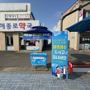 신안얼음