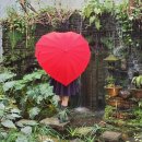 하늘물빛정원 | 대전근교 금산가볼만한곳 [하늘물빛정원]카페/식당/정원/족욕후기