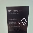 신화여객 | [울릉도] 울릉도 대표 뷰맛집 카페 카페울라 스탬프 이벤트 스팟 및 카페 메뉴 추천
