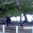 사동관광안내소 이미지