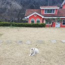 동해망상파파펜션 이미지