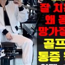 함마대로-2 이미지