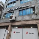 프리독스 | 용산 애견유치원 프리독스 후기