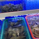 평택조개구이무한리필 이미지