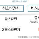 민성개발