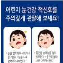 더글라스페이스샵 이미지